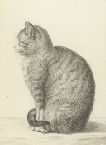يجلس القط ، إلى اليسار. 1815