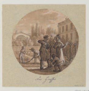 تصميم طبق خزفي مطلي ، Les Greffes (Grafts) من Service de la Culture des Fleurs (خدمة زراعة الزهور) بواسطة جان تشارلز Develly