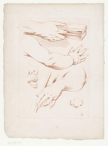 تكوين الذراعين والأنف وجزء من الوجه التراكيب مع أجزاء من جسم الإنسان (عنوان المسلسل) بواسطة توماس لوكلير