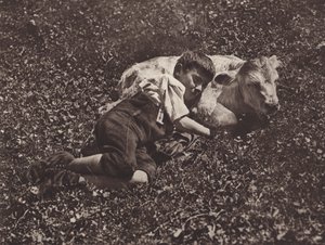 سويسرا: Siesta (b / w photo) بواسطة جين جابريل