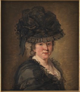 صورة لسيدة بواسطة Jean-Honore Fragonard