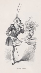 فراشة قديمة من مشاهد من الحياة الخاصة والعامة للحيوانات ، كاليفورنيا. 1837-47. بواسطة جان إغنايس إيسيدور جيرار