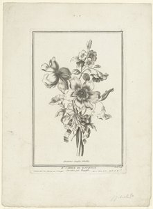 باقة شقائق النعمان والأعشاب شقائق النعمان البسيطة ، Volubilis (العنوان على الكائن) IIe Cahier de Bouquets (عنوان السلسلة) بواسطة جان بابتيست مونوييه