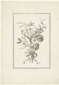 باقة من الياسمين والقشور ياسمين ، بيد دالويت مزدوجة (العنوان على الكائن) IIe Cahier de Bouquets (عنوان السلسلة) بواسطة جان بابتيست مونوييه