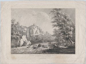 شجرة البتولا اقتلعتها عاصفة عام 1809.