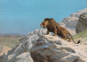  بواسطة جان ليون جيروم