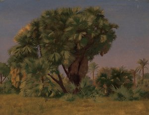 دراسة أشجار النخيل ، ربما عام 1868. بواسطة جان ليون جيروم