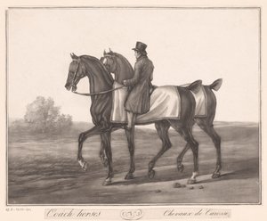 رايدر يرشد حصانين Chevaux de Carosse (العنوان على الكائن) بواسطة جان لويس دارسيس (منسوب إلى)