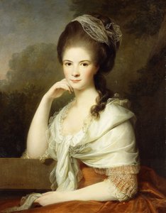 صورة لسيدة ، جالسة نصف طول ، ترتدي فستانًا بني وشال أبيض ، 1778 بواسطة ينس جويل