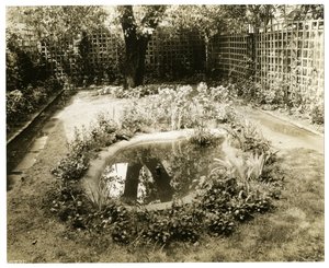Garden of Mrs WH Wells 265 W 11th، Greenwich Village، New York، USA، c1936-37 (صورة فضية جيلاتينية) بواسطة جيسي تاربوكس بيلز