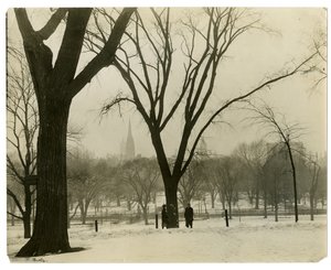 The Common ، بوسطن ، الولايات المتحدة الأمريكية ، حوالي 1902-10 (صورة فضية جيلاتينية) بواسطة جيسي تاربوكس بيلز