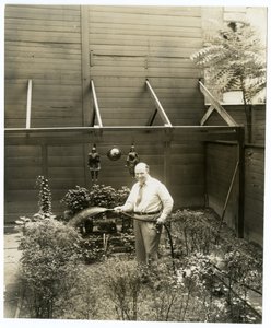 توني سارج ، c.1905-40 (صورة فضية الجيلاتين) بواسطة جيسي تاربوكس بيلز