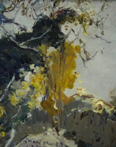 بوم بواسطة Joaquim Mir i Trinxet