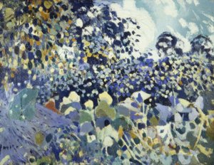 زهرة بواسطة Joaquim Mir i Trinxet