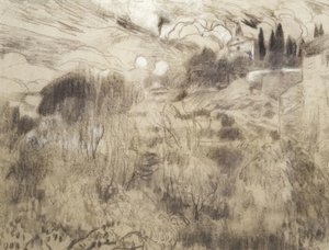 ماسبوجولس بواسطة Joaquim Mir i Trinxet