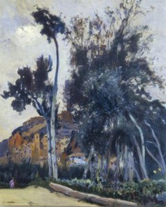 ميرافيت بواسطة Joaquim Mir i Trinxet