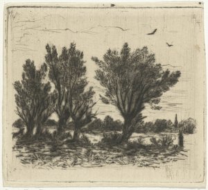 صف الصفصاف بواسطة Johan Frederik Croockewit