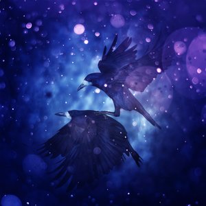 مملكة الطيور 3 ، 2018 (فن التصوير الرقمي) بواسطة يوهان ليلجا