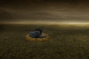 نهاية هدف 2013 (تصوير) بواسطة يوهان ليلجا
