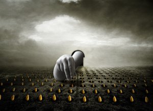لص التوليب 2013 (تصوير) بواسطة يوهان ليلجا