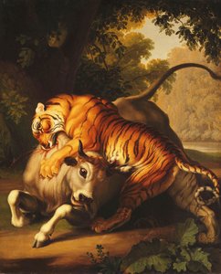 نمر يهاجم بول ، 1785 بواسطة Johan Wenzel Peter