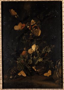 الزهور مع الفراشات والضفدع (زيت على خشب البلوط) بواسطة يوهان كريستيان توماس وينك