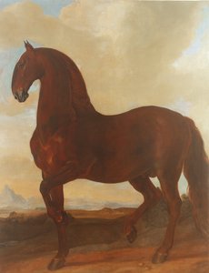 The Bay Stallion في The Eisgruber Stud
