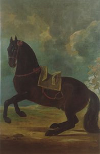 The Bay Stallion مع السرج الاسباني