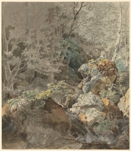 شلالات في غابة جبلية ، 1797.