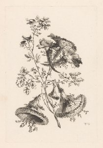 زهور مثلثة Fleures Baroque (عنوان السلسلة)