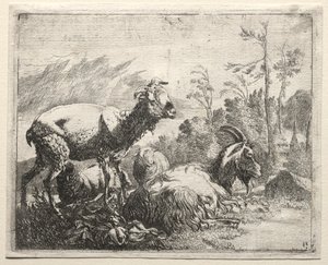 الماعز ، 1665.
