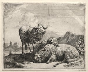 رام واثنين من الأغنام ، 1665.