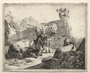 السياج 1665.