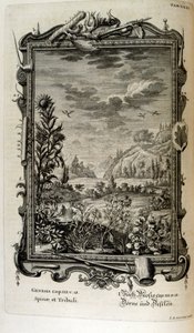 نقش على الصفيحة النحاسية من "Physica Sacra" بواسطة الباحث السويسري. يوهان جاكوب شيوتشر بواسطة يوهان جاكوب شيوتشر