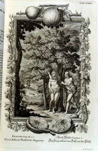 نقش على صفيحة نحاسية من كتاب Physica Sacra للباحث السويسري. يوهان جاكوب شوتشير