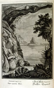 نقش على الصفيحة النحاسية من "Physica Sacra" بواسطة الباحث السويسري. يوهان جاكوب شيوتشر بواسطة يوهان جاكوب شيوتشر
