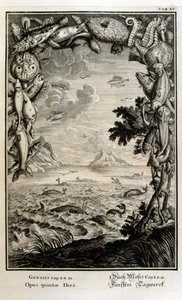 نقش على الصفيحة النحاسية من "Physica Sacra" بواسطة الباحث السويسري. يوهان جاكوب شيوتشر بواسطة يوهان جاكوب شيوتشر