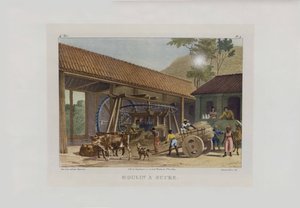 مطحنة السكر. من رحلة رائعة في البرازيل ، 1830-1835.