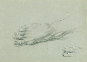 دراسة قدم "Arindal and Daura"