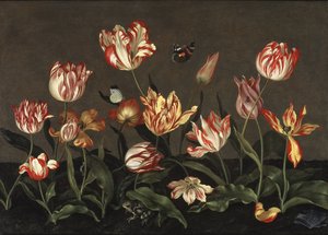 Nature morte avec des tulipes - Still Life with Tulips، by Bosschaert، Johannes (حوالي 1610 - 1650 تقريبًا). زيت على خشب. الأبعاد: ٤٦ × ٦٤ سم. المتحف الوطني ستوكهولم بواسطة يوهانس بوشارت