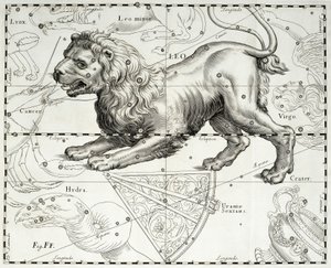 Leo, zodiacal constellation of Lion, illustration taken from Johann Hevelius
