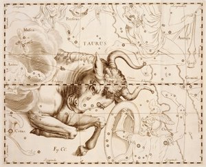 برج الثور (علامة البروج) ، نقش من Firmamentum Sobiescianum sive Uranographia ، كتالوج النجوم الكامل ، بقلم يوهان هيفيليوس (1611-1687) ، مطبوع في غدانسك