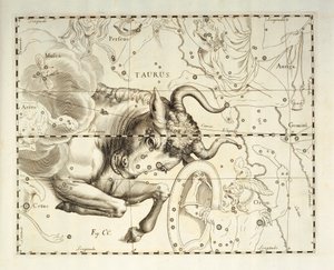 برج الثور، كوكبة برج الثور، نقش من الأطلس السماوي Firmamentum Sobiescianum sive Uronographia، بقلم يوهان هيفيليوس (1611-1687)، غدانسك