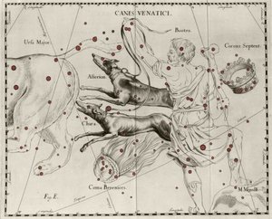 كوكبة قصب Venatici ، كلاب الصيد. لوحة مرسومة من "" Firmamentum Sobiescanum sive Uranographia "بواسطة يوهانس هيفيليوس أو هيفيل (1611-1687) بواسطة يوهانس هيفيليوس