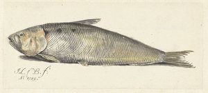 بخير بواسطة Johannes le Francq van Berkhey