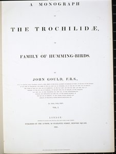 Frontispiece (hand-coloured litho) بواسطة جون (بعد) جولد