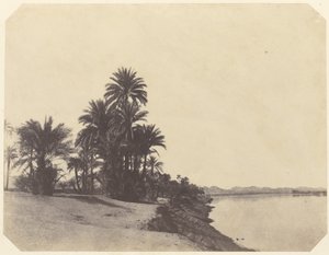  بواسطة جون بيسلي غرين