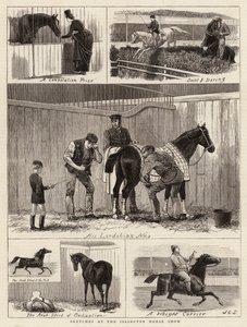 اسكتشات في عرض Islington Horse