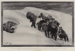 طعام للجياع ، تميل الأغنام المترابطة بالثلوج على التلال في نورثمبرلاند بواسطة John Charlton