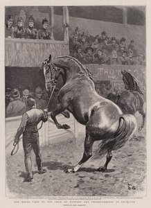 الزيارة الملكية لعرض الصيادين والخيول الأصيلة في Islington